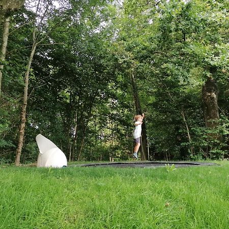 5Sterne Ferienwohnung Im Fachwerk Mit Bergblick In Alleinlage Und Grossem Garten, Infrarotkabine Humberg Exteriör bild