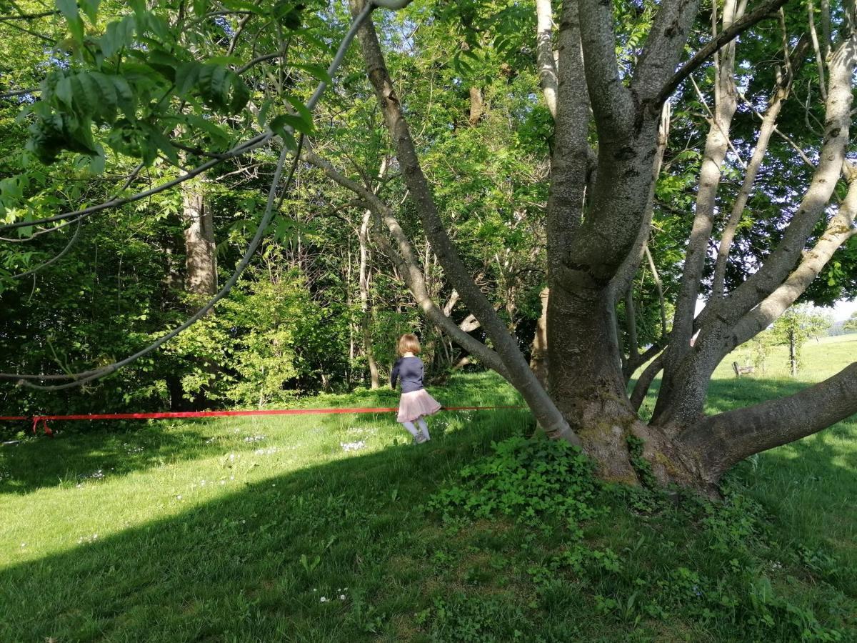 5Sterne Ferienwohnung Im Fachwerk Mit Bergblick In Alleinlage Und Grossem Garten, Infrarotkabine Humberg Exteriör bild