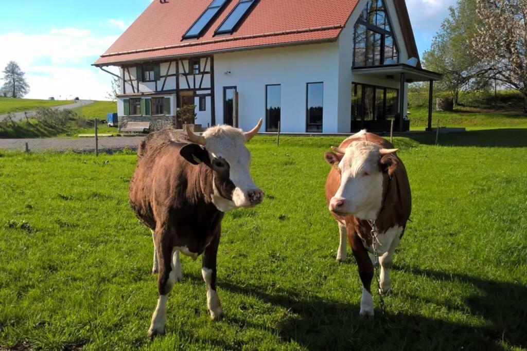 5Sterne Ferienwohnung Im Fachwerk Mit Bergblick In Alleinlage Und Grossem Garten, Infrarotkabine Humberg Exteriör bild