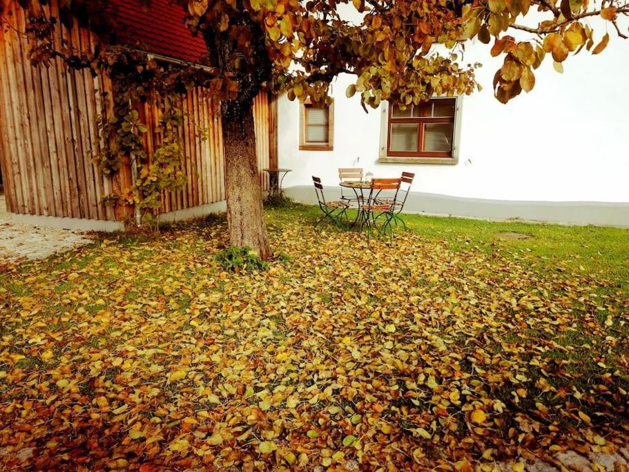 5Sterne Ferienwohnung Im Fachwerk Mit Bergblick In Alleinlage Und Grossem Garten, Infrarotkabine Humberg Exteriör bild