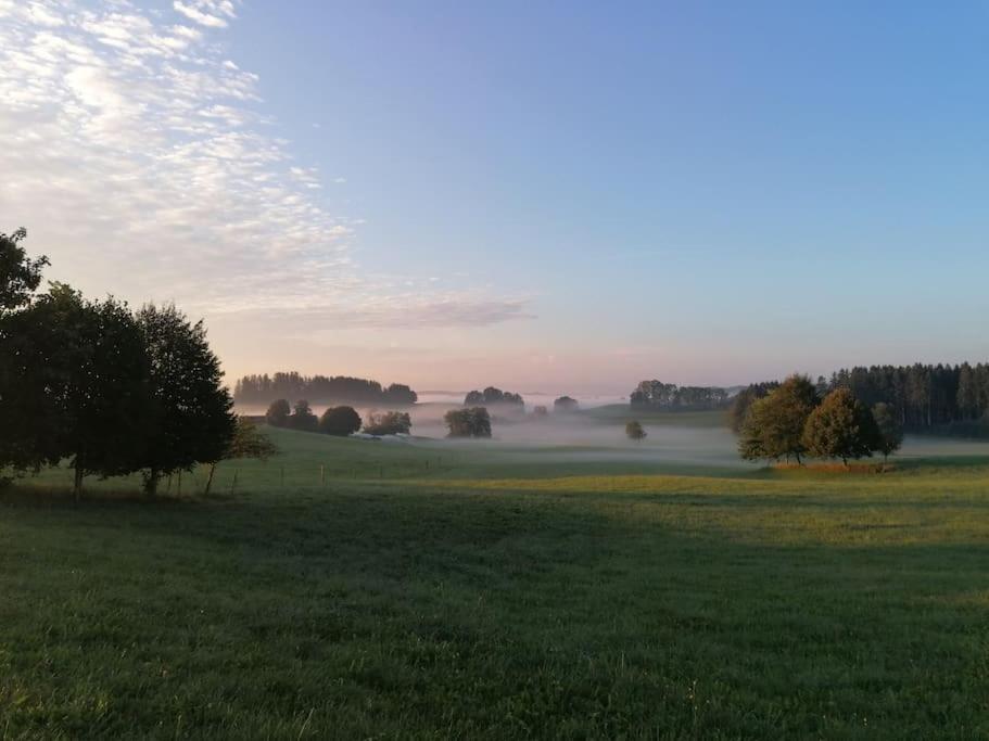 5Sterne Ferienwohnung Im Fachwerk Mit Bergblick In Alleinlage Und Grossem Garten, Infrarotkabine Humberg Exteriör bild